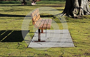 An empty bench in the park