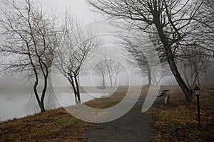 Empty bench at park near pond by foggy day, minimalistic cold season scene. bench at the lake in the fog in the forest. Bench near