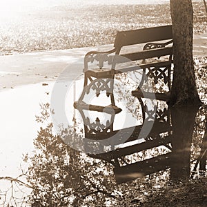 Empty bench in the park after raining