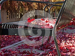 Empty bench park red leaves autumn background