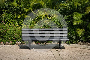 Empty bench in park - wooden bench in tropical garden