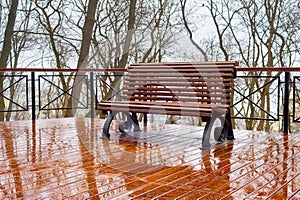 Empty bench rain park reflection