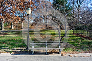 Empty Bench at Riverside Park on the Upper West Side of New York City during Autumn