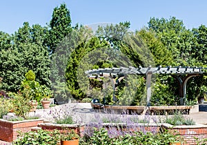 Empty Bench in Seating Area of Park