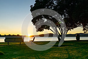 Empty bench seats and pohutukawa tree in silhouette at waters edge back-lit by golden sunrise