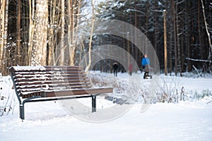 Empty bench in snowy forest with walking paths