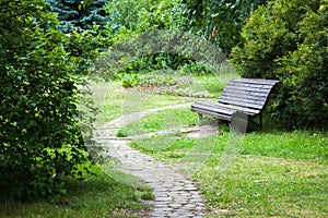 Empty bench in the summer park