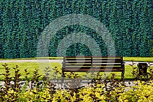 Empty bench on a sunny day