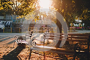 Empty bench in the sunny golden rays in yellow colorful autumn park