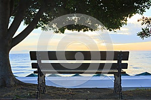 Empty Bench with a tree on the background of the sea at sunrise