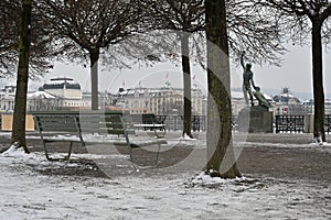 Empty bench in winter in Buerkliplatz Zurich placed on the bank of Lake Zurich and surrounded by trees.