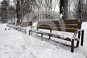 Empty bench in Winter Park