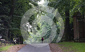 Empty bench and a woman strolling down the avenue in the old par