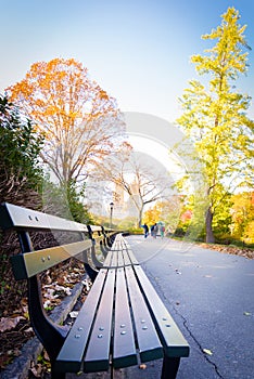 Empty benches in autumn at Central Park