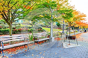 Empty benches in city of Vancouver, Canada. photo