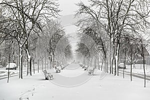 Empty benches coverd by snow on the boulevard