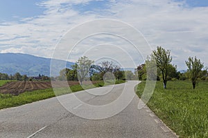 Empty bend road with trees on the edge