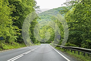 Empty bend road with trees on the edge