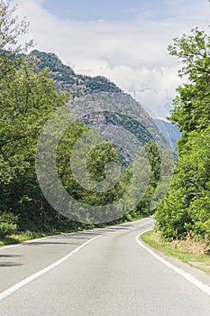 Empty bend road with trees on the edge
