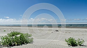 Empty Benson Beach Cape Disappointment State Park, Washington