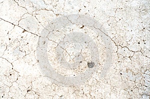 Empty Beton Background