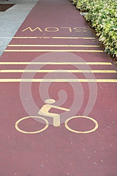 Empty bicycle way for bike in a park with slow sign