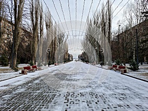 Empty big winter alley. February day. Snowy day