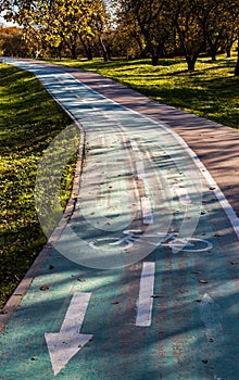 empty bike path passing through the autumn park