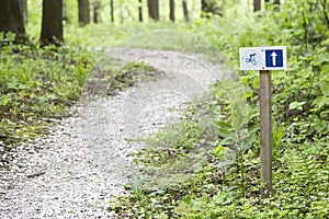 Empty bike trail in forest