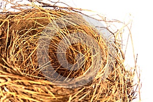 Empty Bird Nest