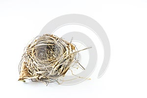 Empty bird nest