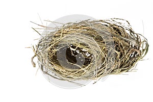 Empty bird nest isolated on white background