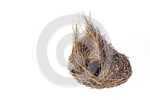 Empty bird nest isolated on white background