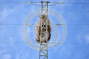empty bird nest made with branches of trees at the top of an electrical tower of high voltage that conducts electricity to houses