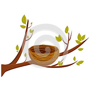 Empty bird nest from twigs on tree branch with leaves isolated on white background. Spring time, vector clipart, brown wooden