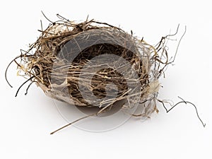 Empty bird nest photo