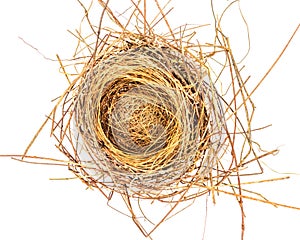 Empty bird Nest