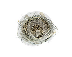Empty bird nest on white background