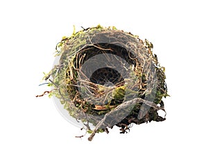 Empty bird`s nest on a white background