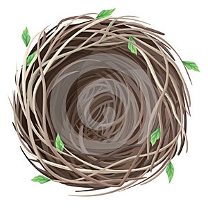 Empty bird s nest on a white background. Spring illustration for decor, design. Spring time