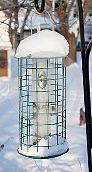 Empty Birdfeeder