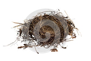 Empty Birds Nest Isolated On White Background