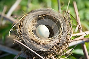 an empty birds nest with a single egg waiting to hatch