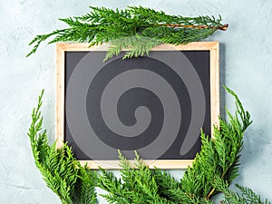 Empty blackboard in wooden frame for text, winter green branches
