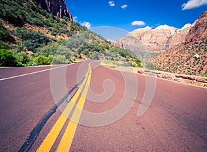 Empty blacktop in Zion national park