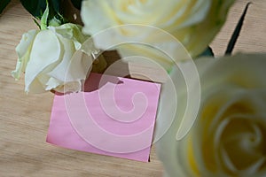 Empty blank pink paper note and white rose on wood table with window light