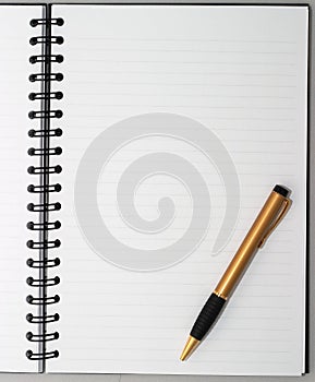 Empty blank ring, spiral notepad, one gold pen