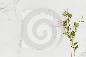 Empty blank white magazine cover mock up and green branch with flowers on white marble table background