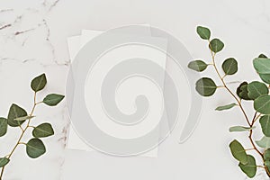 Empty blank white magazine cover mock up and green eucalyptus branch on white marble table background