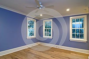 Empty blue bedroom